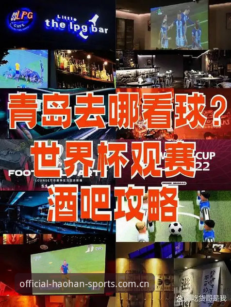 世界杯观赛签证受阻操作教程——从浩瀚体育官网看约旦土耳其球迷的困境